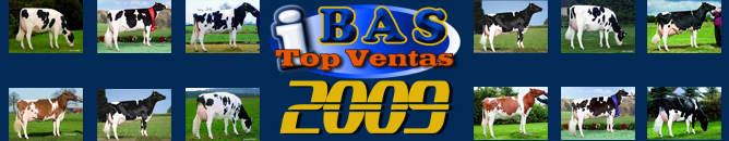 TOP VENTAS 2009