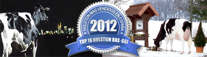 TOP VENTAS BASGGI 2012
