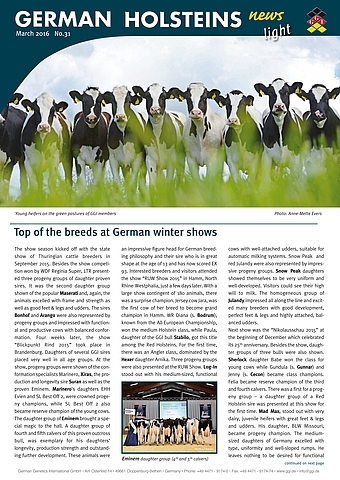 BAS·GGI - Descargar German Holstein News